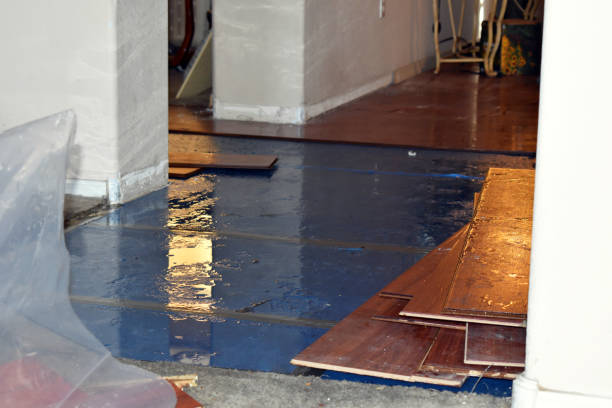 Professional Water Damage Restoration technician working in Newport, NC