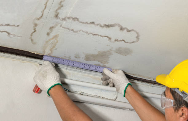 Reliable Water Damage Restoration contractor in Newport, NC by Local Water Damage Repair